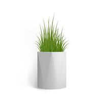 Fresh green grass in a rectangular white pot. Pot in the loft style. Home decor element. Symbol of growth and ecology. Vector realistic illustration isolated.