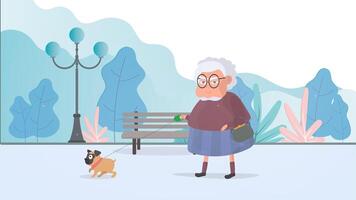 Grandmother walks in the park with a small dog. Flat style vector illustration.