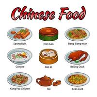 conjunto de deliciosa y famosa comida china en un colorido icono de diseño degradado vector