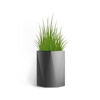 Fresh green grass in a rectangular black pot. Pot in the loft style. Home decor element. Symbol of growth and ecology. Vector realistic illustration isolated.