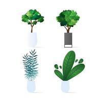 Set of small trees. Houseplant isolated on a white background. Vector illustration