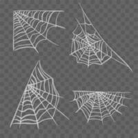 Spiderweb or spider web cobweb on wall corner isolated icons vector