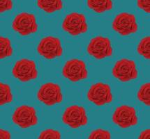 Red Rose on Seamless Blue Teal Background vector