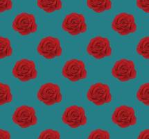 Red Rose on Seamless Blue Teal Background vector