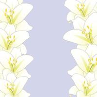 White Lily Flower Border isolated on Purple Background vector
