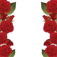 Red Rose Flower Frame Border vector