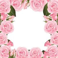 Pink Rose Flower Frame Border. Vector Illustration.
