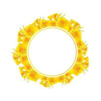 Yellow Canna lily Banner Wreath vector