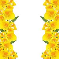 Yellow Canna lily Border vector