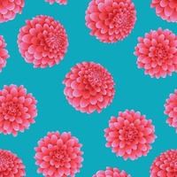 Pink Dahlia on Blue Background. vector