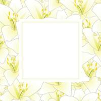 White Lily Flower Banner Card vector