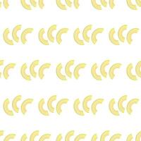Seamless pattern. Avocado slices isolated on white background. Sliced avocado . vector