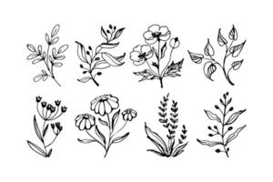 conjunto de vectores florales dibujados a mano con hojas, flores y ramas. colección de bocetos florales. ilustración vectorial plano.