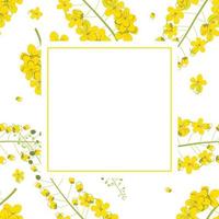 Cassia Fistula - Golden Shower Flower Banner Card vector