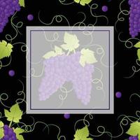 Pueple Grape Banner on Black Background2 vector