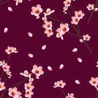 Prunus persica - Peach Flower Blossom on Red Violet Background. vector