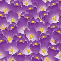 Purple Crocus Flower Seamless Background. vector