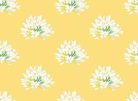 Snow White Agapanthus on Yellow Background. Vector Illustration