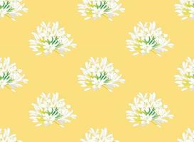 Snow White Agapanthus on Yellow Background. Vector Illustration