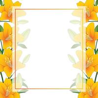 Orange Lily Banner Card Border on White Background vector