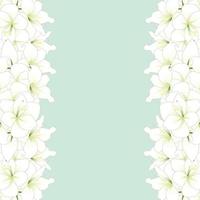 White Amaryllis Border - Hippeastrum. Christmas Flower. vector