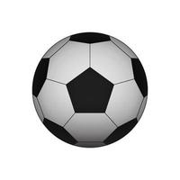 balón de fútbol. pelota de fútbol. vector