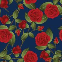 Beautiful Red Rose - Rosa on Indigo Blue Background. Valentine Day. Vector Illustration