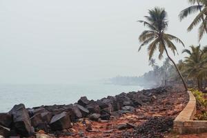 paseo marítimo de piedra con palmeras. copiar, espacio vacío para texto foto