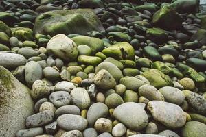 piedra costera redonda cubierta de vegetación. copiar, espacio vacío para texto foto