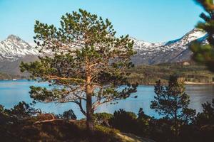 Norway mountains and landscapes on the islands Lofoten. Natural scandinavian landscape. Place for text or advertising photo