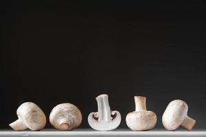 Mushrooms champignons lie in a row on a white table on a dark background. Place for text or advertising photo