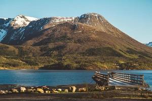 Norway mountains and landscapes on the islands Lofoten. Natural scandinavian landscape. Place for text or advertising photo