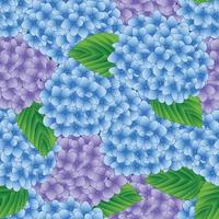 Blue and Purple Hydrangea Flower Seamless Background. Vector Illustration