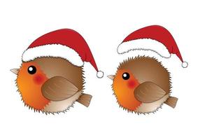 Red Robin Bird Santa Claus isolated on White Background vector