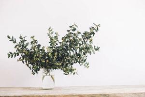 Bunch of green twigs in a glass jar on a wooden table photo