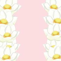 White Indian lotus Border vector