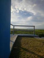 daytime view from the shore of the lake. water hyacinth covers the lake photo