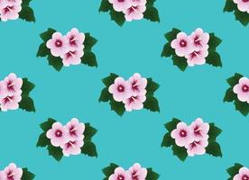 Pink Hibiscus syriacus - Rose of Sharon on Mint Background vector