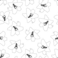 Lily Outline White Background vector