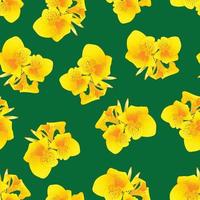 Yellow Canna lily on Green Background vector