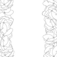 Arabian Jasmine Outline Border vector