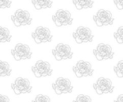 Carnation Seamless on White Background vector