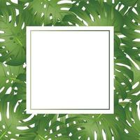 Philodendron Monstera Leaf Banner Card Copy Space vector