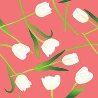 White Tulip on Pink Background. Vector Illustration