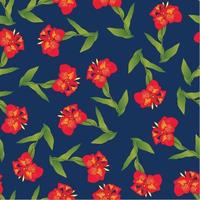 Red Canna lily on Indigo Blue Background vector