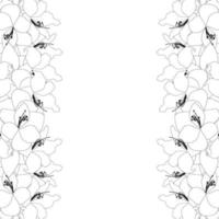Amaryllis Outline Border vector