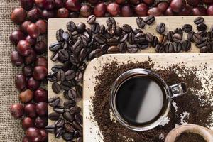 café granos de café y cerezas de café