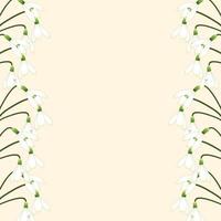 White Snowdrop Border vector