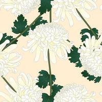 White Chrysanthemum Flower on Beige Ivory Background vector