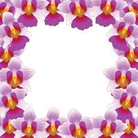 Vanda Miss Joaquim Orchid Border2 vector